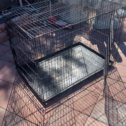 Dog Cage