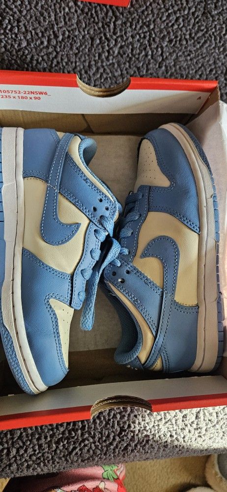 Kids Dunks 