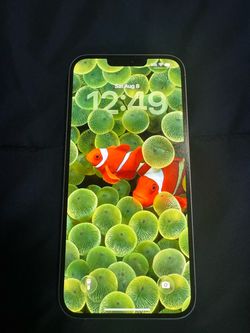 iPhone 14 Plus unlocked
