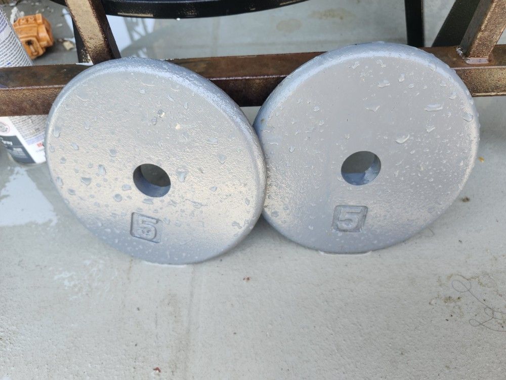 5lb Weights