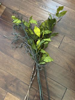 Free Assorted Faux Plant