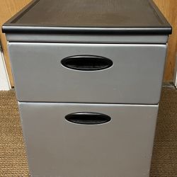 2 Drawer File Cabinet on Wheel with Disc Storage. Has dent on side