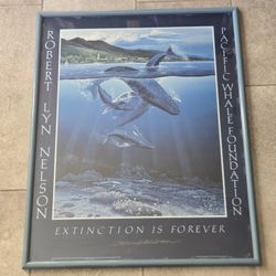 Extinction is Forever - Robert Lyn Nelson SIGNED Pacific Whale poster Framed 31x25"