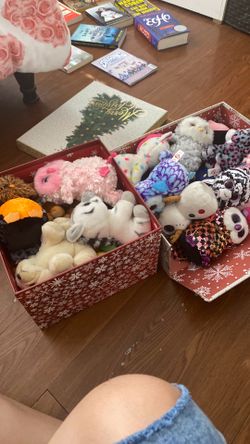 Two boxes of beanie boo’s