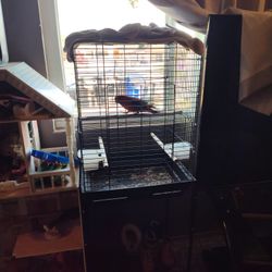 Black Bird Cage For Sale 