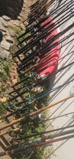 Fishing Rods And Reels They Range From $10 To $100