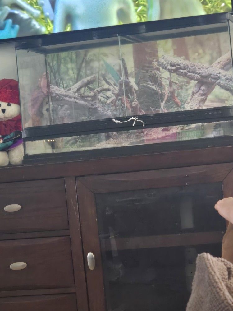 Reptile Tank
