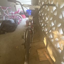 SE CHICAGO Big Ripper 29”