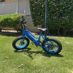 Electric Bikes