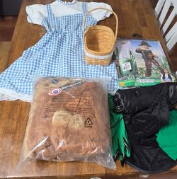 Wizard of Oz family costumes