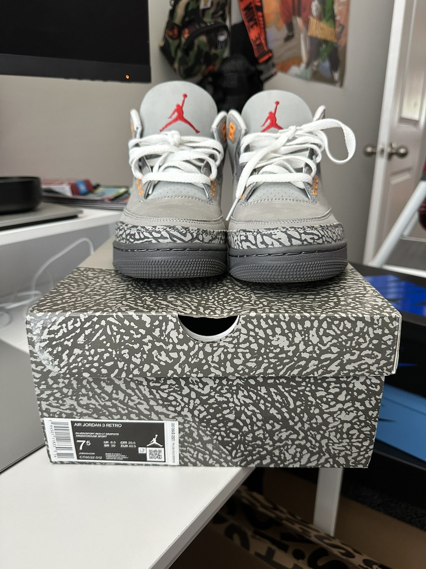 Cool Grey Jordan 3s