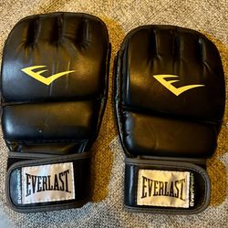Everlast Everfresh Boxing Gloves