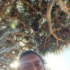 Austreberto