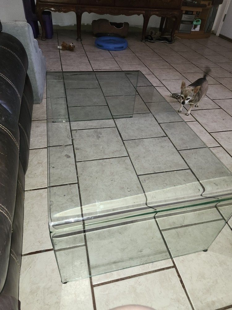 Glass Coffee Table