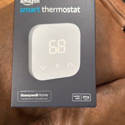 Amazon Alexa Smart Thermostat