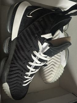 LeBron XVI