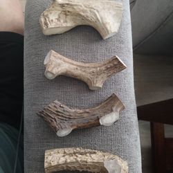 Deer Antler chews