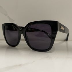 LongChamp Sunglasses 