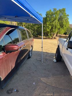 Tint window