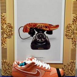 Nike SB Dunk Low Concepts Orange Lobster Special Box Edition 