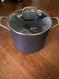 Ninja Nonstick Stock Pot with Glass Lid