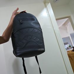 Sprayground backpack