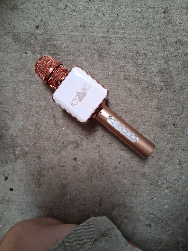 Iconic Karaoke Microphone