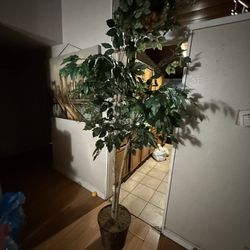 Artificial Plant