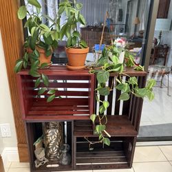 4 Stained Crates / Plant Stand