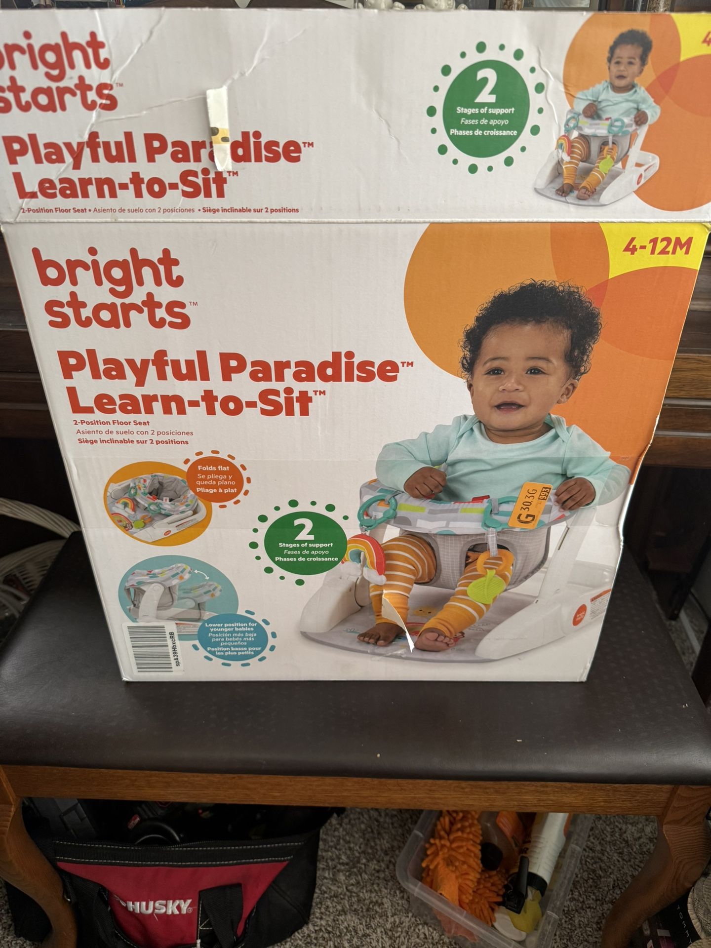 Playful Paradise Learn To Sit