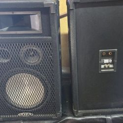 Digital Pro Audio 17" Speakers