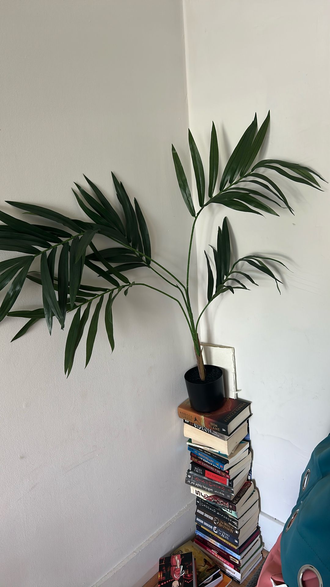 fake plant