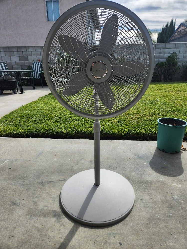 Fan