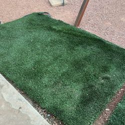 Artificial Grass