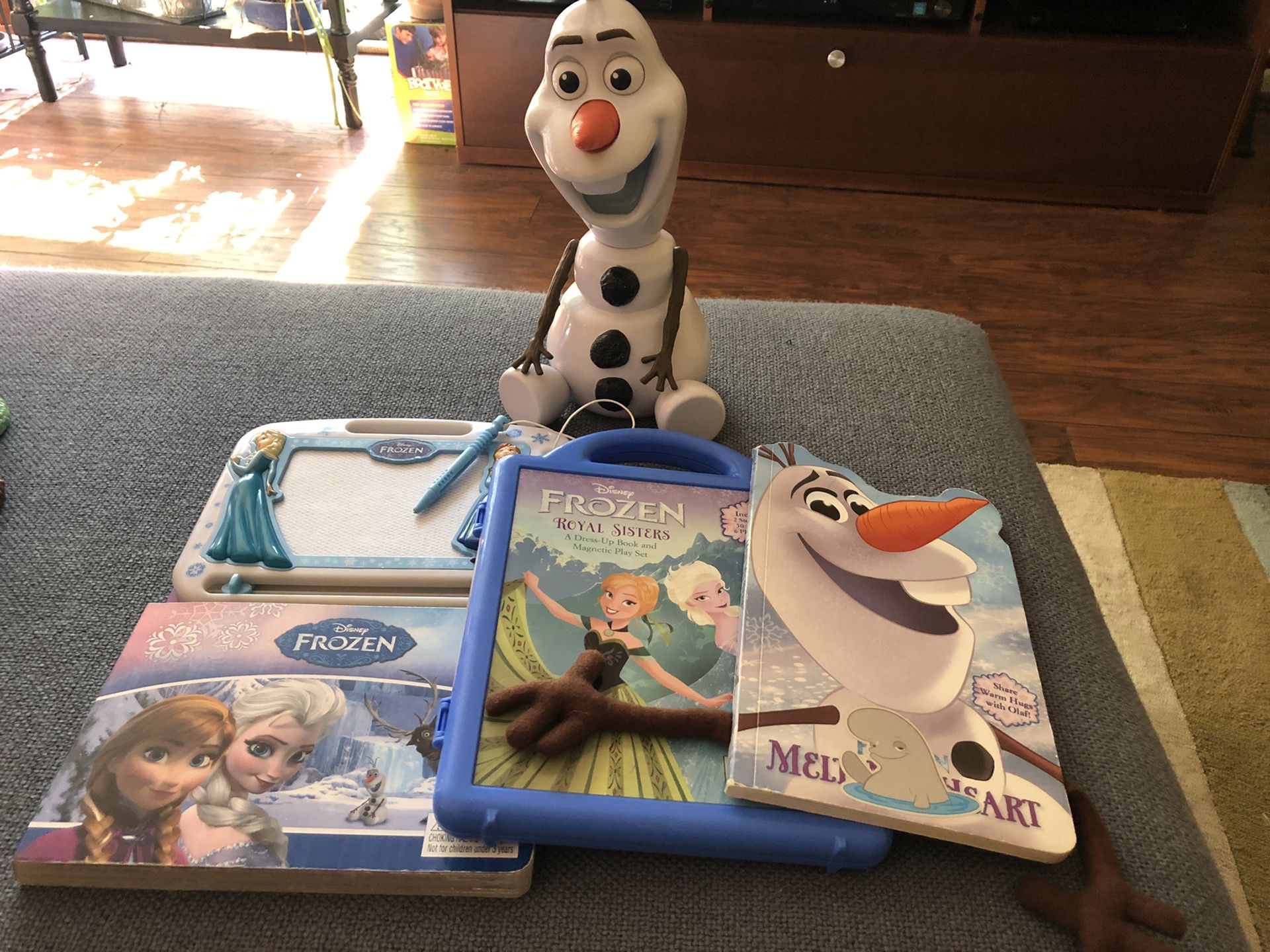 Frozen toy and books