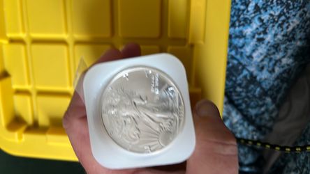 20 American Silver Eagle 1 oz Coin in Capsule