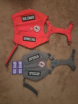 Ruffwear Switchbak Harnesses With Service Dog Patches