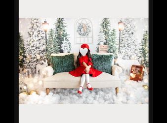 Photographer, backdrop Christmas