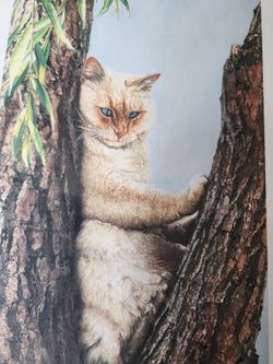 Siamese Cat Art Print