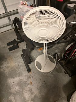Fan