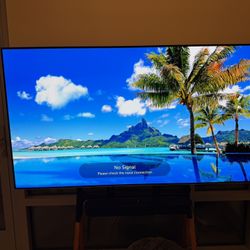 65 Inch Oled 250