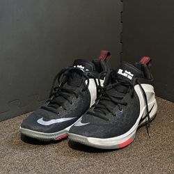 10.5 ZOOM WITNESS