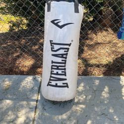 Punching Bag
