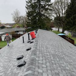 Roofing Shingles 