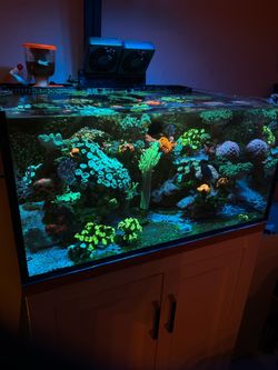 Complete Aquarium Innovative Marine 25G Reef Tank Kit