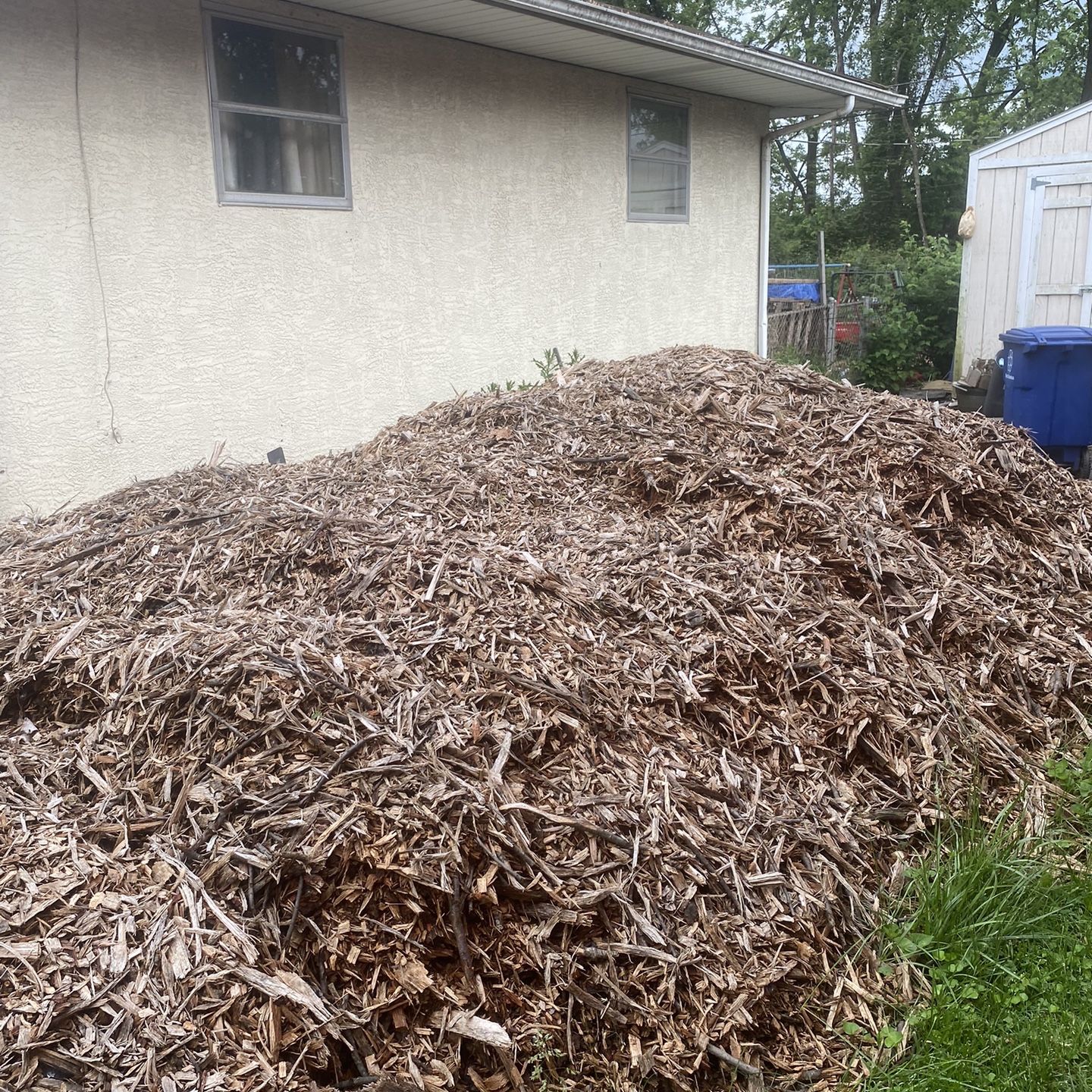 Free Mulch  Wood Chips (new)