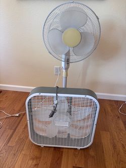 Holmes Box Fan and Oscillating 3-Speed Fan