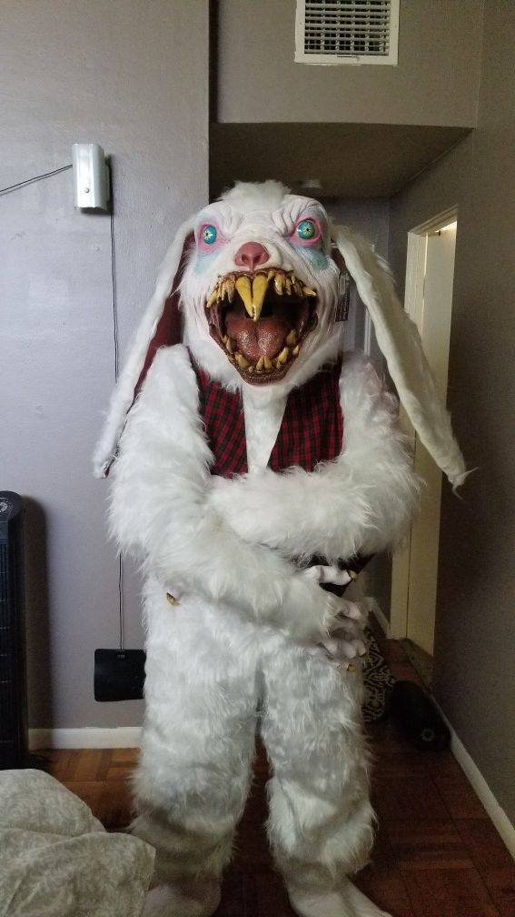 Men's Peter Rottentail Costume
