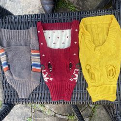 3 Small Sweaters For Dogs