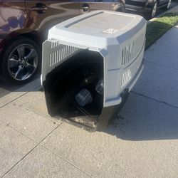 Dog Kennel 